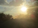 picture thumbnail