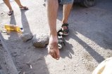 picture thumbnail